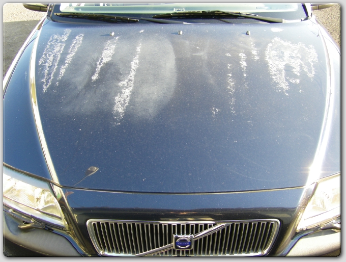 Auto Body Repair Beaverton
